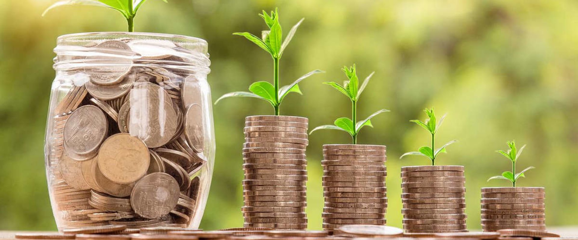 Is seo a long term investment?