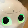 Will seo ever die?